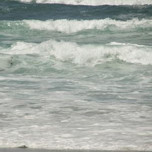 Meet your Posher, Harena